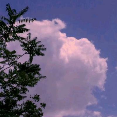 安庆房产信息网